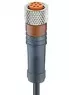 100532 Lumberg Automation Sensor-Aktor Kabel