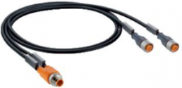 Sensor-Aktor Kabel, M12-Kabelstecker, gerade auf M12-Kabeldose, gerade, 5-polig, 0.15 m, schwarz, 81489