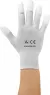 C-199 2817DR-L BJZ ESD-Handschuhe, Handgelenkbänder, Fersenbänder, Überziehschuhe