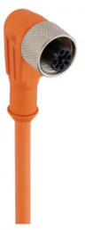 Sensor-Aktor Kabel, M12-Kabeldose, abgewinkelt auf offenes Ende, 5-polig, 2 m, PVC, orange, 4 A, 13633