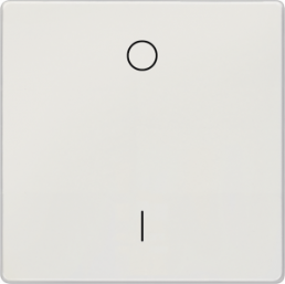 DELTA style Wippe mit Symbolen I/O für Ausschalter, platinmetallic, 5TG71421