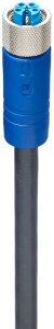 Sensor-Aktor Kabel, M12-Kabeldose, gerade auf offenes Ende, 5-polig, 10 m, PVC, schwarz, 10 A, 934849027
