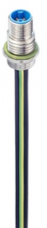 Stecker, M12, 5-polig, Kupplungsschraube, gerade, 934980205