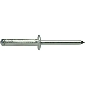 300145686 Nieten, Dübel