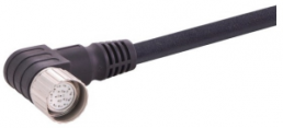 Sensor-Aktor Kabel, M23-Kabeldose, abgewinkelt auf offenes Ende, 17-polig, 5 m, PUR, schwarz, 9 A, 21373600F72050
