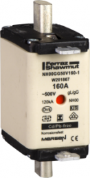 NH-Sicherung NH000, 100 A, gL/gG, 500 V (AC), DF2FGN100