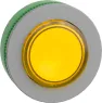 ZB5FW183C0 Schneider Electric Betätiger und Meldeelemente