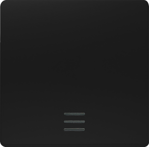 DELTA i-system Wippe mit Schriftfeld, soft schwarz, 5TG62010SB01