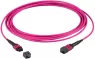 MTPF12MTPFOM3-2 EFB-Elektronik LWL Patchkabel, Pigtails