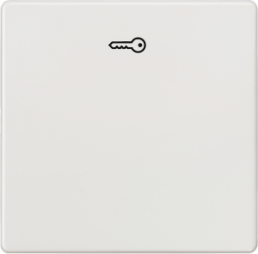 DELTA i-system Wippe mit Symbol Türöffner, titanweiß, 5TG6208