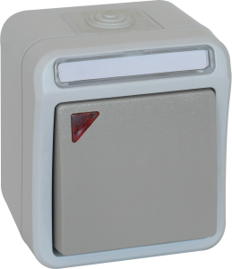 Aufputz-Feuchraum-Kontrollschalter, grau, 230 V (AC), 10 A, IP54, 102450