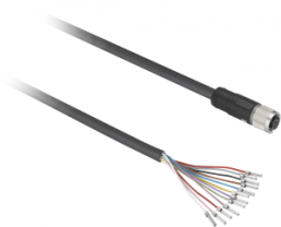 Sensor-Aktor Kabel, M12-Kabeldose, gerade auf offenes Ende, 12-polig, 5 m, PUR, schwarz, 2 A, XZCPB44P14L5