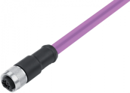 Sensor-Aktor Kabel, M12-Kabeldose, gerade auf offenes Ende, 2-polig, 10 m, PUR, violett, 4 A, 77 4330 0000 60702-1000