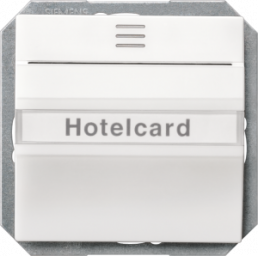 DELTA i-system Hotelcard-Schalter beleuchtet mit Fenster und Schriftfeld, tit..., 5TG4820