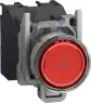 XB4BP483BM5GEX Schneider Electric Betätiger und Meldeelemente