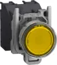 XB4BP583BM5GEX Schneider Electric Betätiger und Meldeelemente
