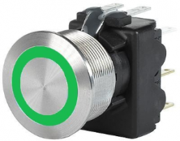 Drucktaster, 2-polig, silber, beleuchtet (grün), 3 A/250 V, Einbau-Ø 19 mm, IP67, 3-108-962