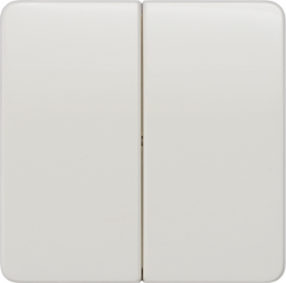 DELTA profil Wippe 2-fach neutral für Serienschalter, titanweiß, 5TG7805