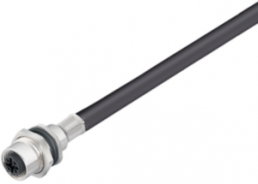 Sensor-Aktor Kabel, M12-Kabeldose, gerade auf offenes Ende, 8-polig, 0.5 m, PUR, schwarz, 2 A, 1223650050