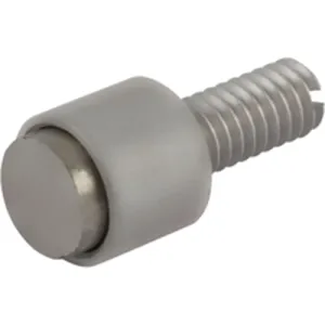 AS101001 ZF Switches and Sensors Permanentmagnete