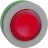ZB5FW143C0 Schneider Electric Betätiger und Meldeelemente