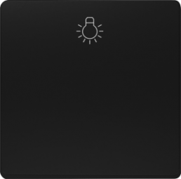 DELTA i-system Wippe mit Symbol Licht, soft schwarz, 5TG62010SB20