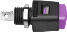 Schnell-Druckklemme, 12.5 mm, violett, 33 VAC/70 VDC, 16 A, Flachstecker, vernickelt, ESD 498 / VI