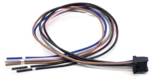 Kabel, (L) 200 mm, für CW Serie, CW9Z-CN200