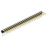 SL 3 080 24 S Fischer Elektronik Steckverbindersysteme