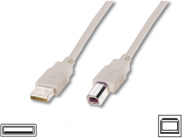 USB 2.0 Adapterleitung, USB Stecker Typ A auf USB Stecker Typ B, 3 m, beige