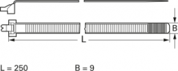 Kabelbinder, lösbar, Polyamid, (L x B) 250 x 9 mm, Bündel-Ø 1.6 bis 71 mm, schwarz, UV-beständig, -40 bis 85 °C