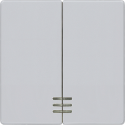 DELTA i-system Wippe 2-fach mit Fenster für Serienschalter, aluminiummetallic, 5TG6244