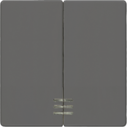 DELTA i-system Wippe 2-fach mit Fenster für Serienschalter, carbonmetallic, 5TG6224