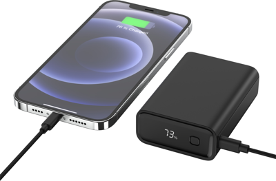 1700-0155 Ansmann Powerbanks, Zusatzakkus Bild 5