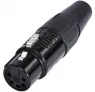 RC5F-BAG-D REAN XLR Steckverbinder