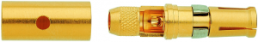 Stiftkontakt, Lötanschluss, vergoldet, 09140006215