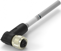 Sensor-Aktor Kabel, M12-Kabeldose, abgewinkelt auf offenes Ende, 5-polig, 10 m, PVC, grau, 4 A, TAA754A1611-007