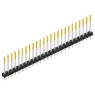 SL LP 1 164 25 S Fischer Elektronik Steckverbindersysteme