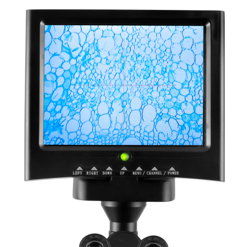 Digitalmikroskop, 100x, 800 x 600 Pixel, PCE Instruments, PCE-PBM 100 - 2