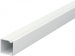 Cable duct, (L x W x H) 2000 x 17.5 x 17.5 mm, PVC, light gray, 6025102
