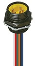 Plug, 7/8, 5 pole, screw connection, straight, 21696