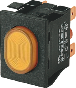 Pushbutton switch, 2 pole, orange, illuminated  (orange), 16 (4) A/250 VAC, IP54, 1670.5201
