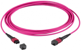 FO patch cable, 2 x MTP-F to 2 x MTP-F, 15 m, OM4, multimode 50/125 µm