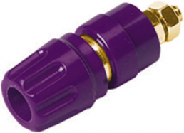 Pole terminal, 4 mm, purple, 30 VAC/60 VDC, 35 A, screw connection, gold-plated, PKI 10 A VI AU