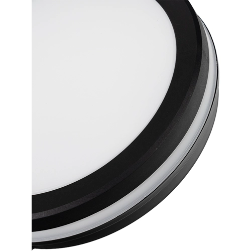 LX300256 Luxula Luminaires and Light Fixtures Image 4