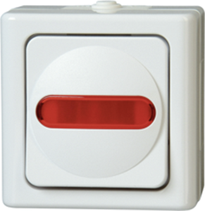 Surface-mount control switch for wet rooms