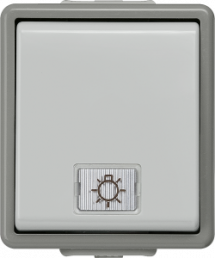 DELTA fläche IP44 surface-m. pushbutton with window and LED insert, 1-pole, 1 NO
