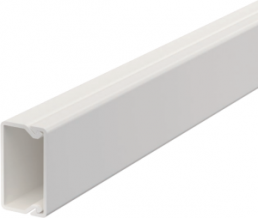Cable duct, (L x W x H) 2000 x 30 x 17.5 mm, PVC, pure white, 6191010