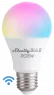 SHELLY DUO RGBW E27 Shelly Light Bulbs, Lamps