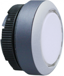 Pushbutton, illuminable, groping, waistband round, white, front ring gray, mounting Ø 22.3 mm, 1.30.270.901/2208